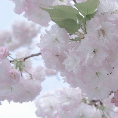 Furry绘画质感灵感兽圈群